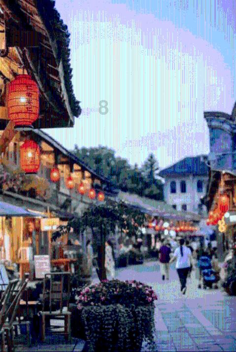 奔跑的兔子